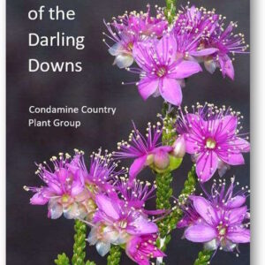 Wildflowers of the Darling Downs