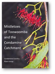 Mistletoes of Toowoomba and the Condamine Catchment - book cover