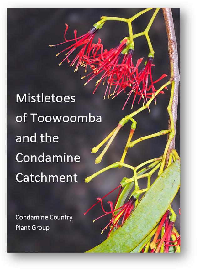 Mistletoes of Toowoomba and the Condamine Catchment - book cover